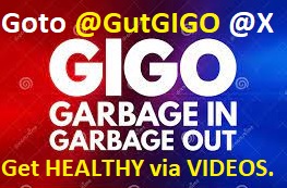 @GutGIGO on X